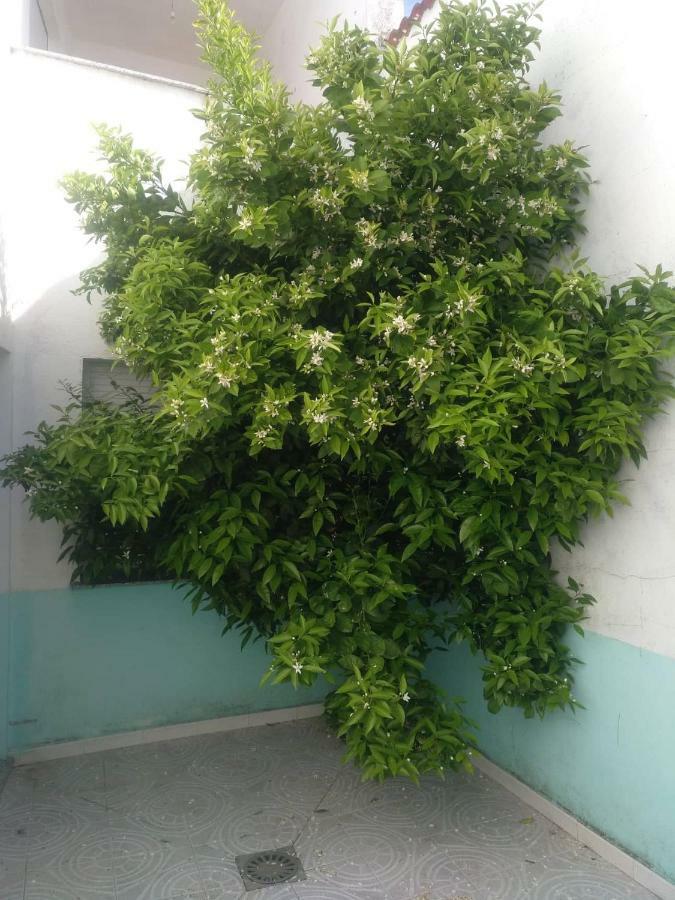 Casa Familiar La Lunara Caces Buitenkant foto